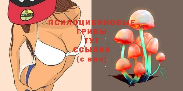 бошки Абинск